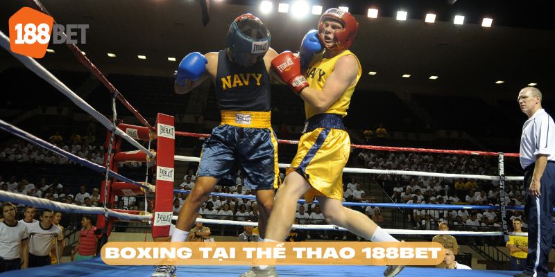Boxing là bộ môn có hệ thống cược độc đáo tại thể thao 188BET