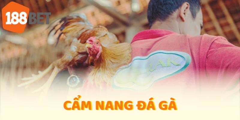 cẩm nang đá gà 188bet