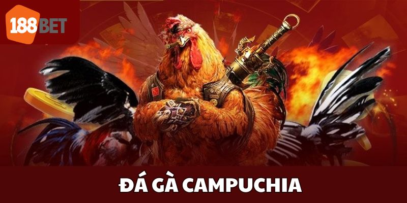 đá gà campuchia