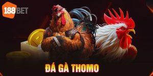 đá gá thomo