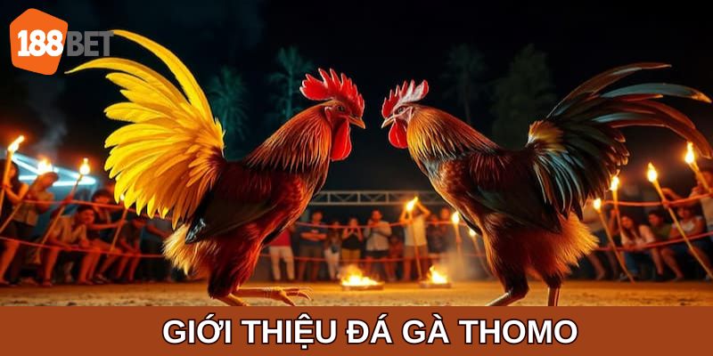 Tìm hiểu cơ bản về trò chơi Đá gà thomo online