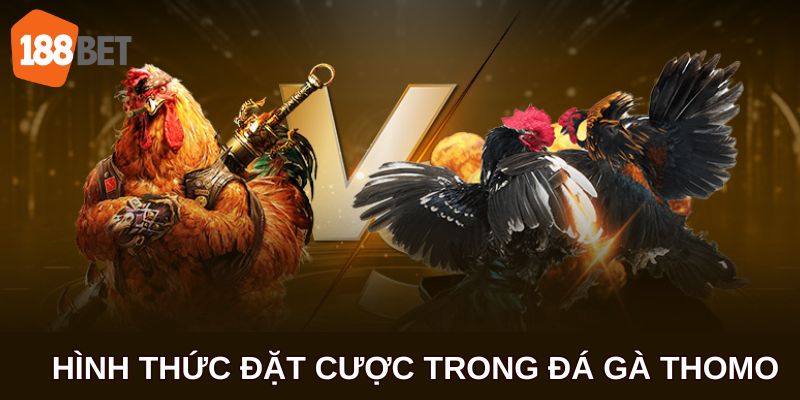 Khám phá các hình thức đặt cược xuất hiện trong Đá gà thomo